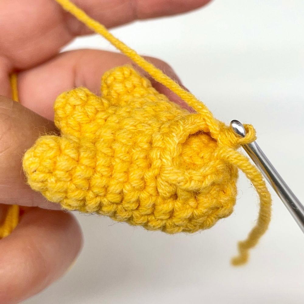 Mystery crochet along photos (4)