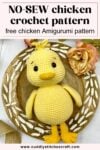 NO-SEW chicken crochet pattern free, free chicken Amigurumi pattern